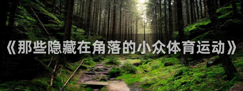意昂5体育网页版入口