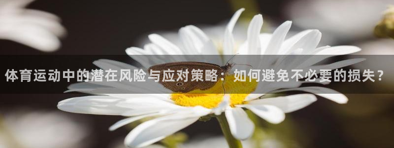 意昂5包怎么样