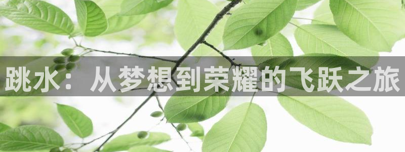意昂5体育3在线注册