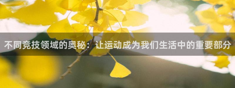 意昂5平台开户