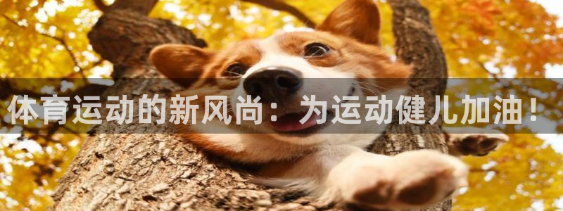 意昂53官网登录